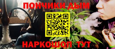 индика Лесосибирск