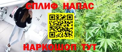 индика Лесосибирск