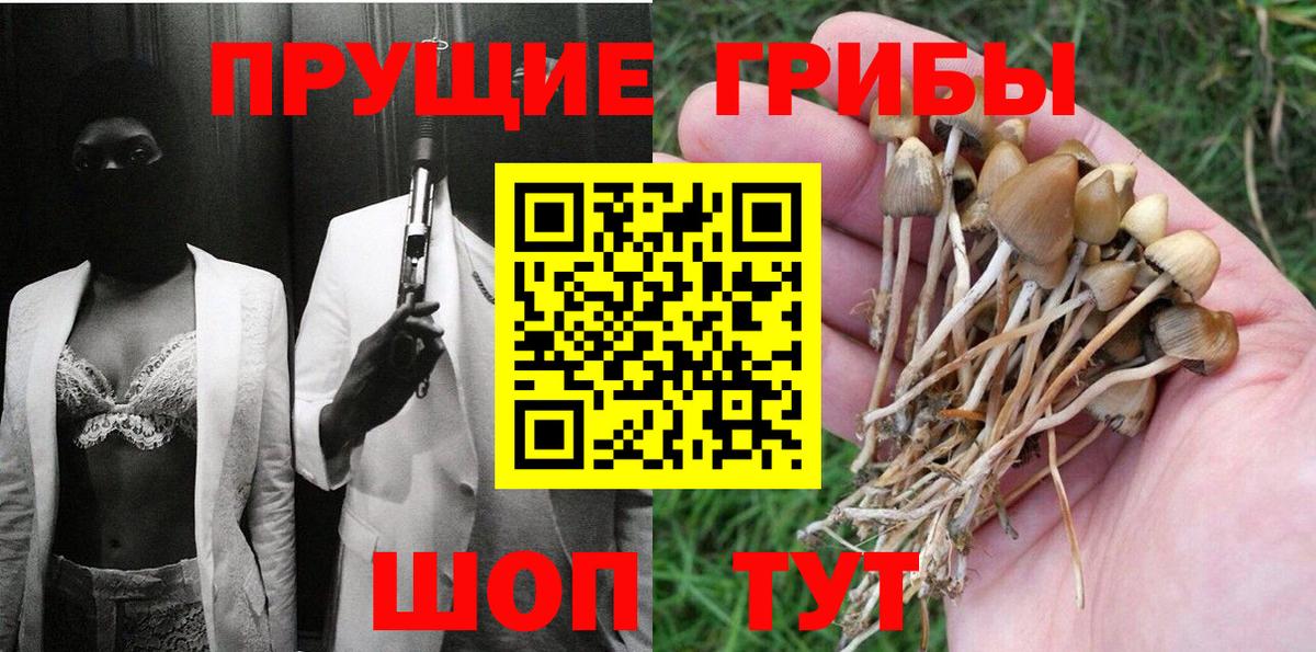 Псилоцибиновые грибы Cubensis Фрязино