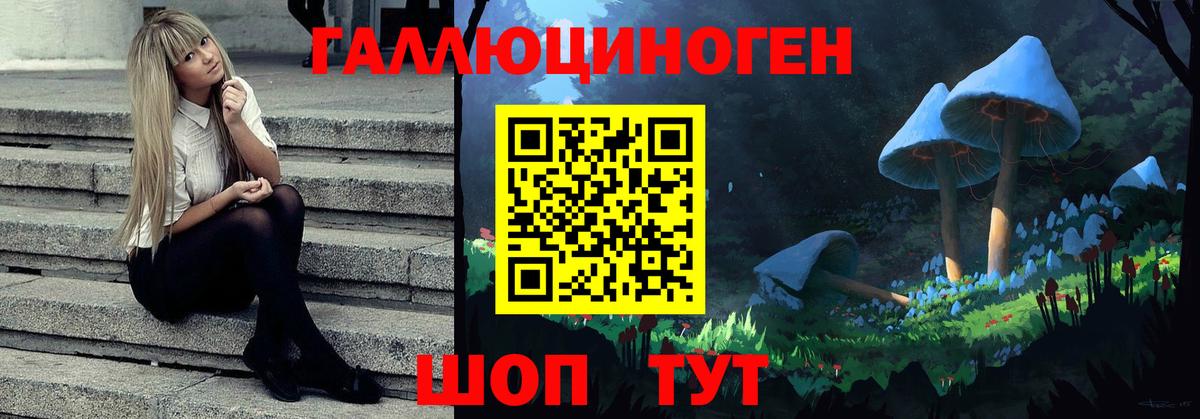 Фрязино  Псилоцибиновые грибы MAGIC MUSHROOMS  Вход с VPN 